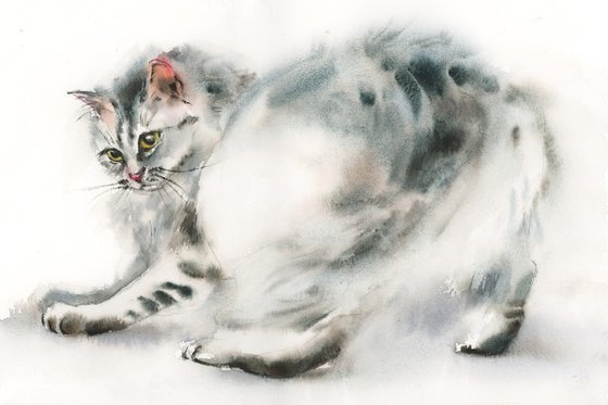 Playing Cat