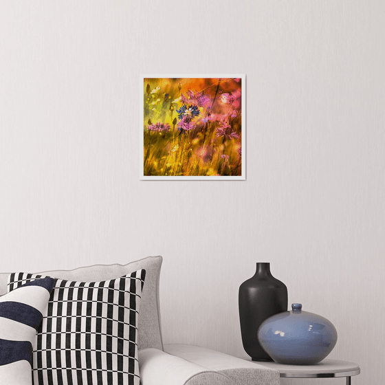 Summer Meadows #6. Limited Edition 1/25 12x12 inch Abstract Photographic Print.