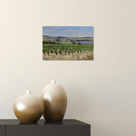 Vineyards and Lavender Fields