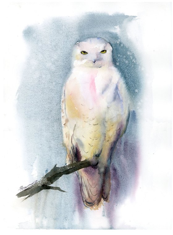 Snowy Owl Diptych
