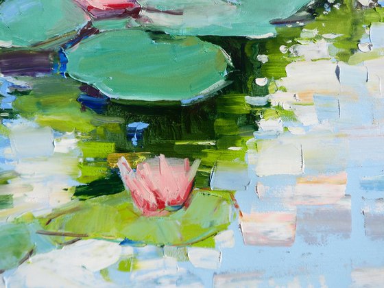 "Water lilies"