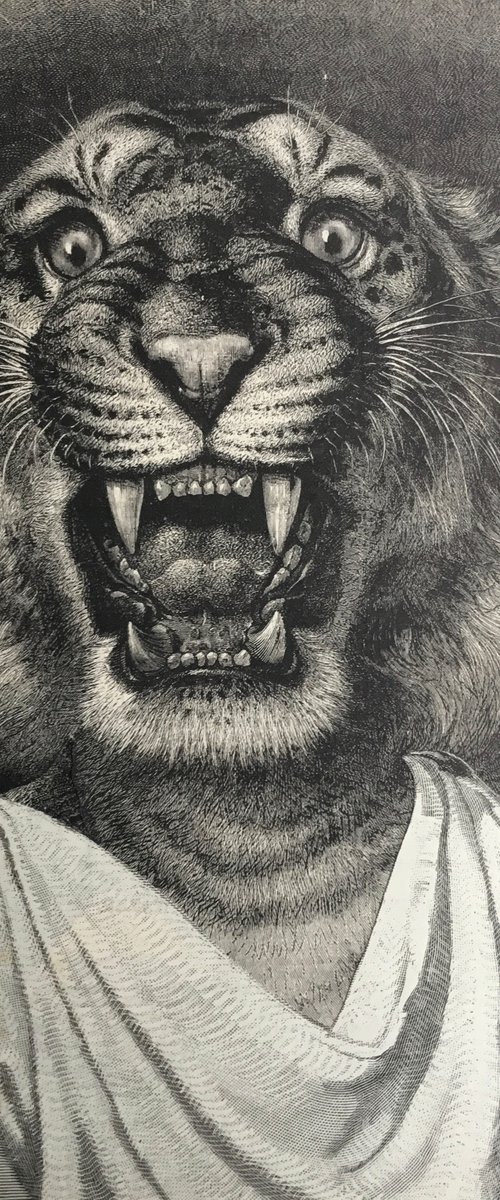 She was a tiger by Tudor Evans