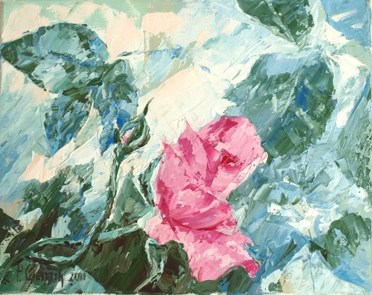 pink rose -2 by Roman Sleptsuk