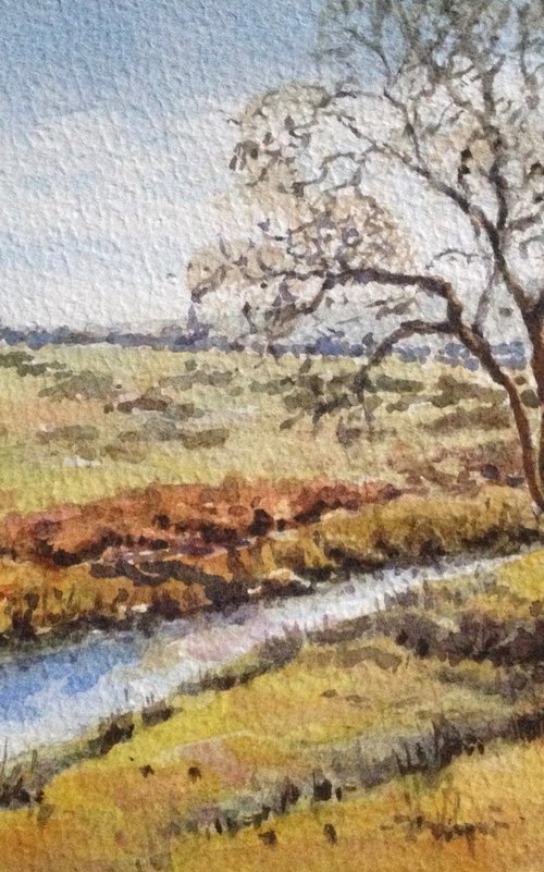 Drakes leat Dartmoor by David Mather