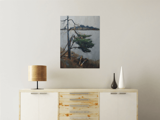 Spring landscape