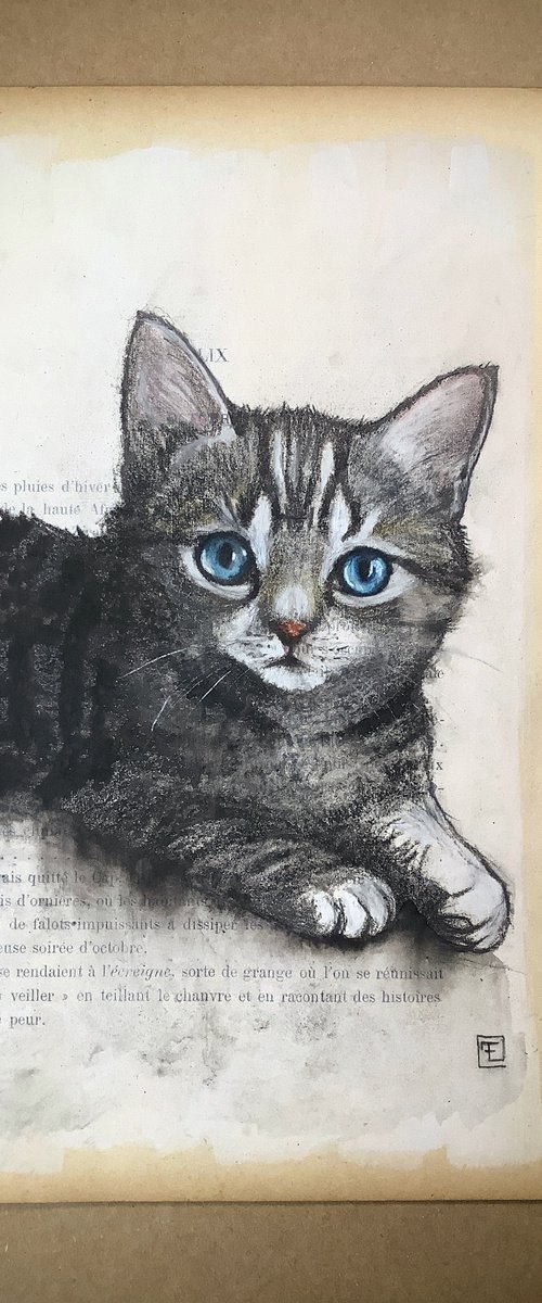 PETIT CHATON by Eva Fialka