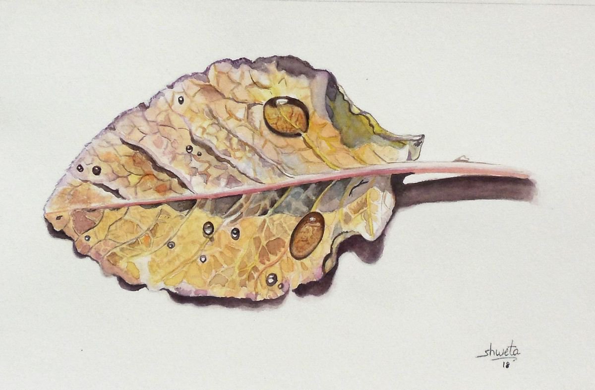Waterdrops on a Leaf Watercolor Painting by Shweta  Mahajan