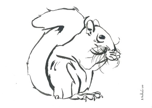 Squirrel I Animal Drawing by Ricardo Machado
