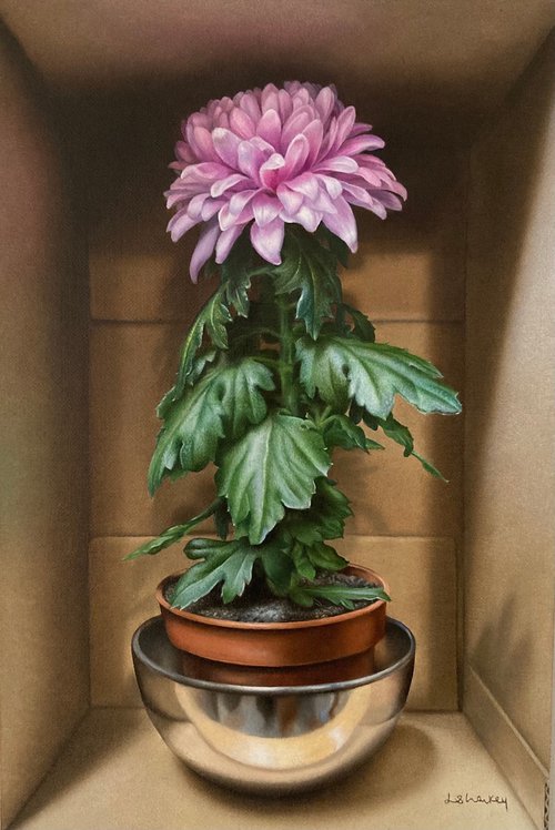 Chrysanthemum by Lorna Sharkey