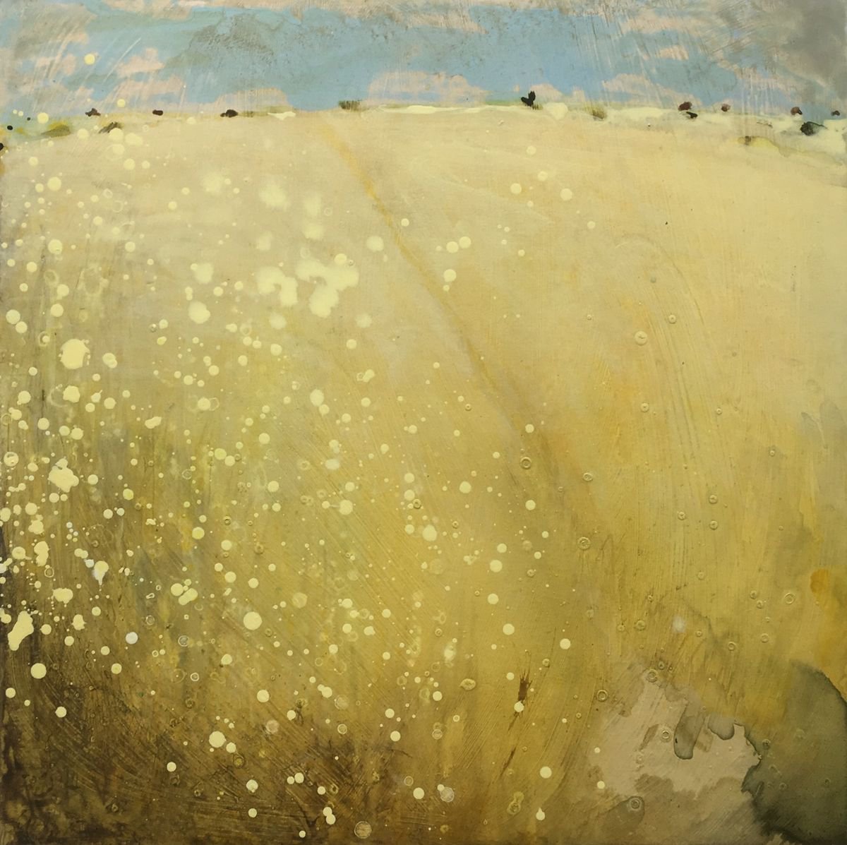 Sun-baked fields by Nichola Campbell