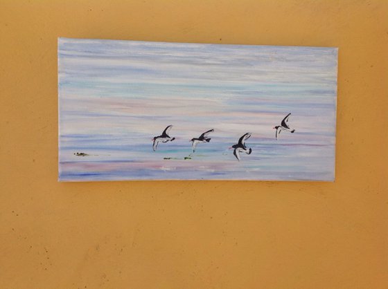 288-Oyster Catchers Fly Past