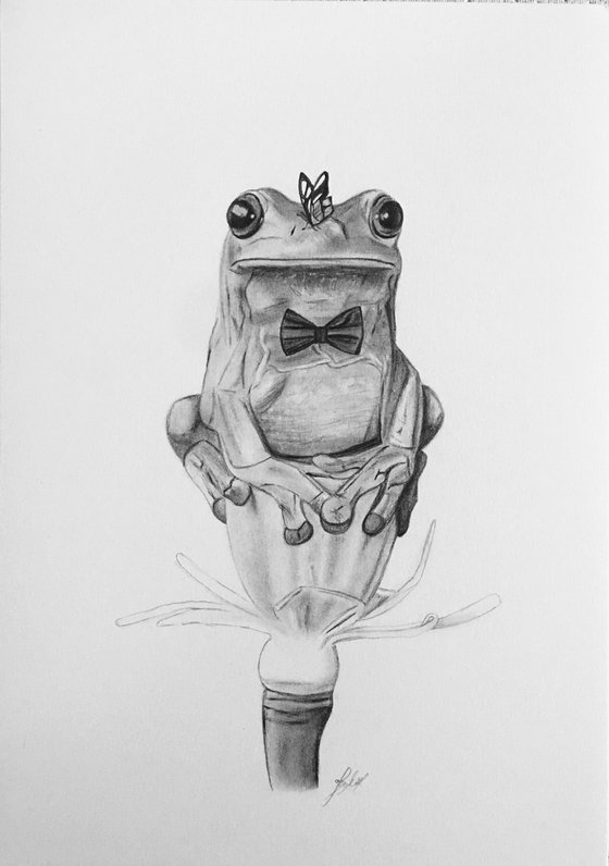 Tree frog drawing