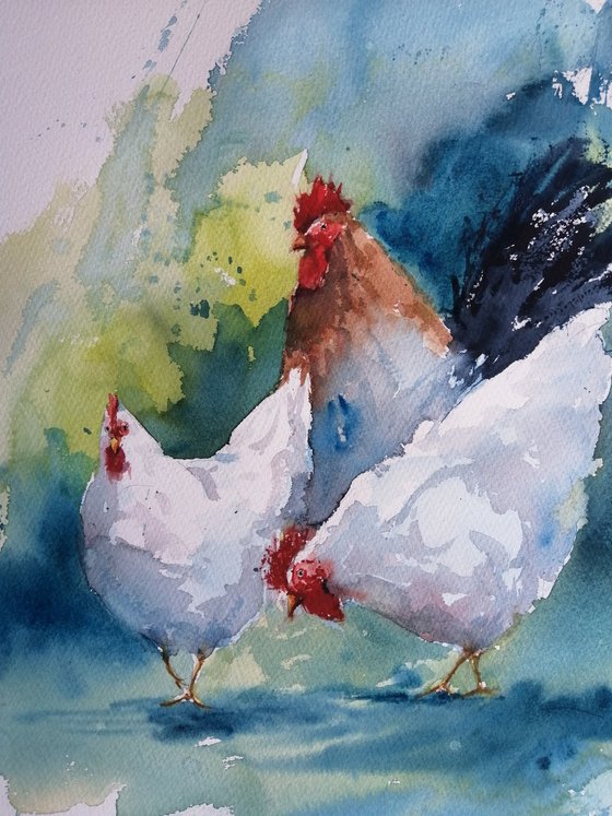 roosters and hens 8