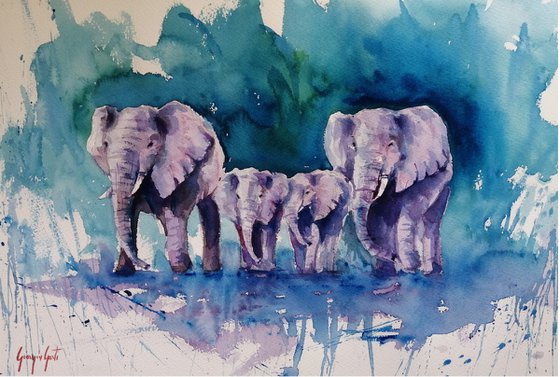 elephant 18