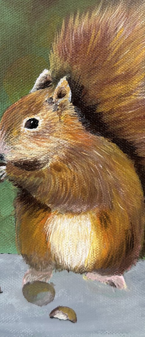 Red squirrel by Maxine Taylor