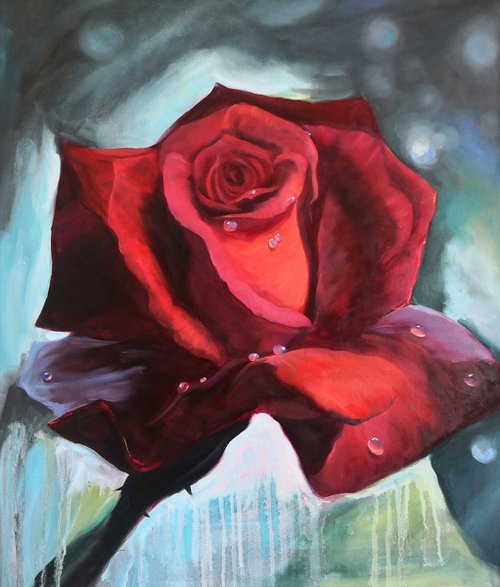 Red rose with dew drops on petals by Jane Lantsman