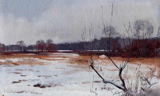 Gray day. Izmailovsky park