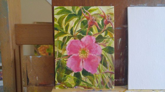 Wild rose (5x7x0.1'') (framed 8.7x7x0.5")