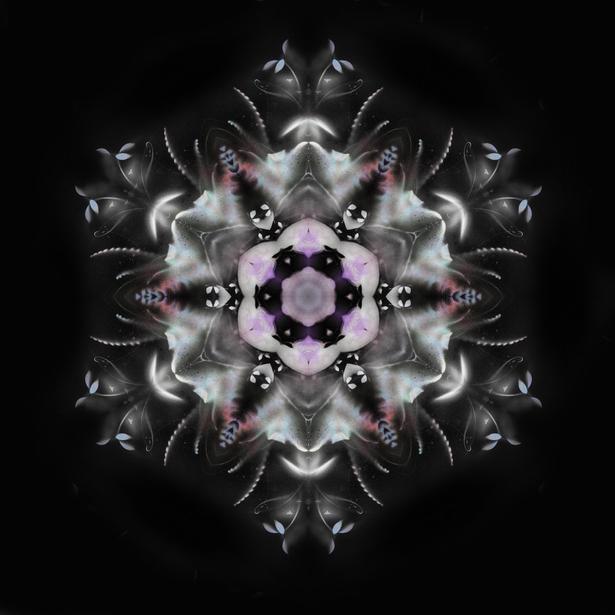 Botanical Painting By Teis Albers, 39 X 39", Diamond, Original Artwork