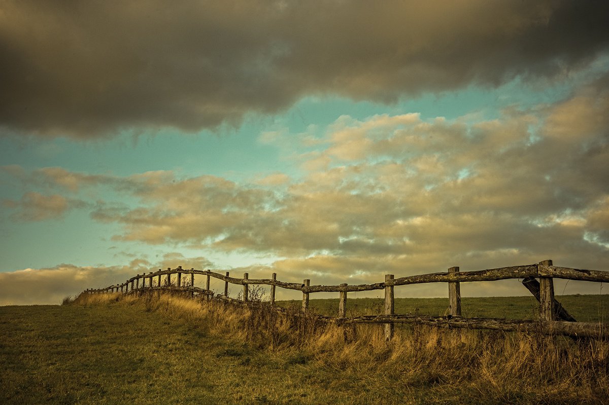 Fence up to Stocks by Adam Regan