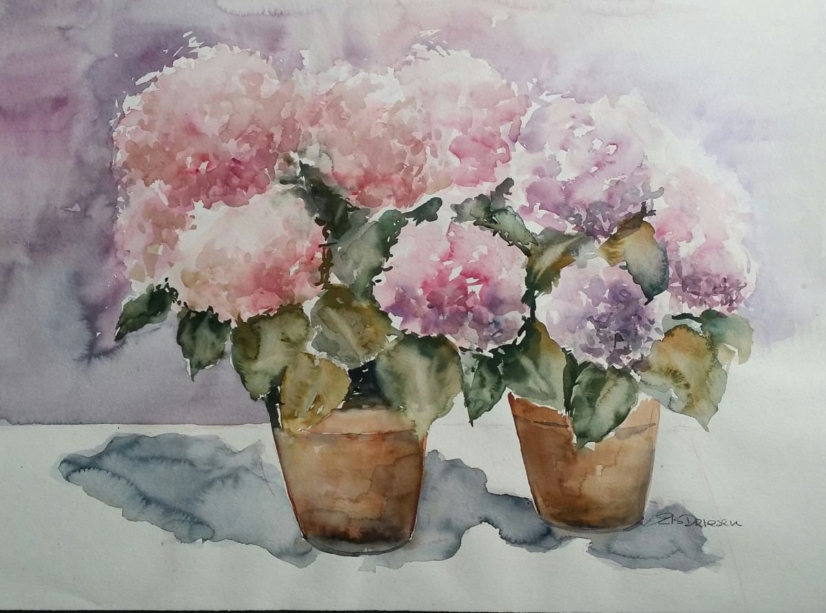 Impressionistic Botanical Watercolour By Els Driesen, 30 X 22, Hydrangea, Original Artwork