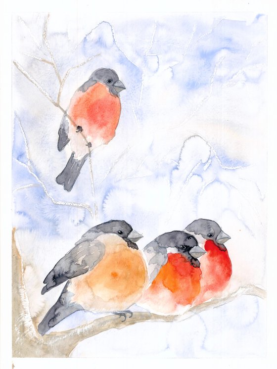 Bullfinches