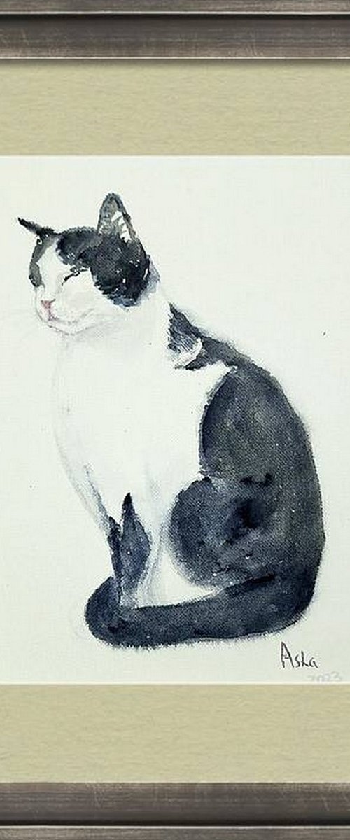 Cat in Meditation by Asha Shenoy