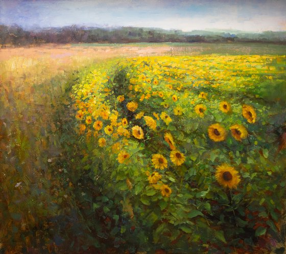 Sunflowers