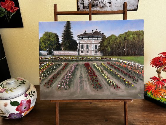 Springtime in Groppello d’Adda - Red Tulips