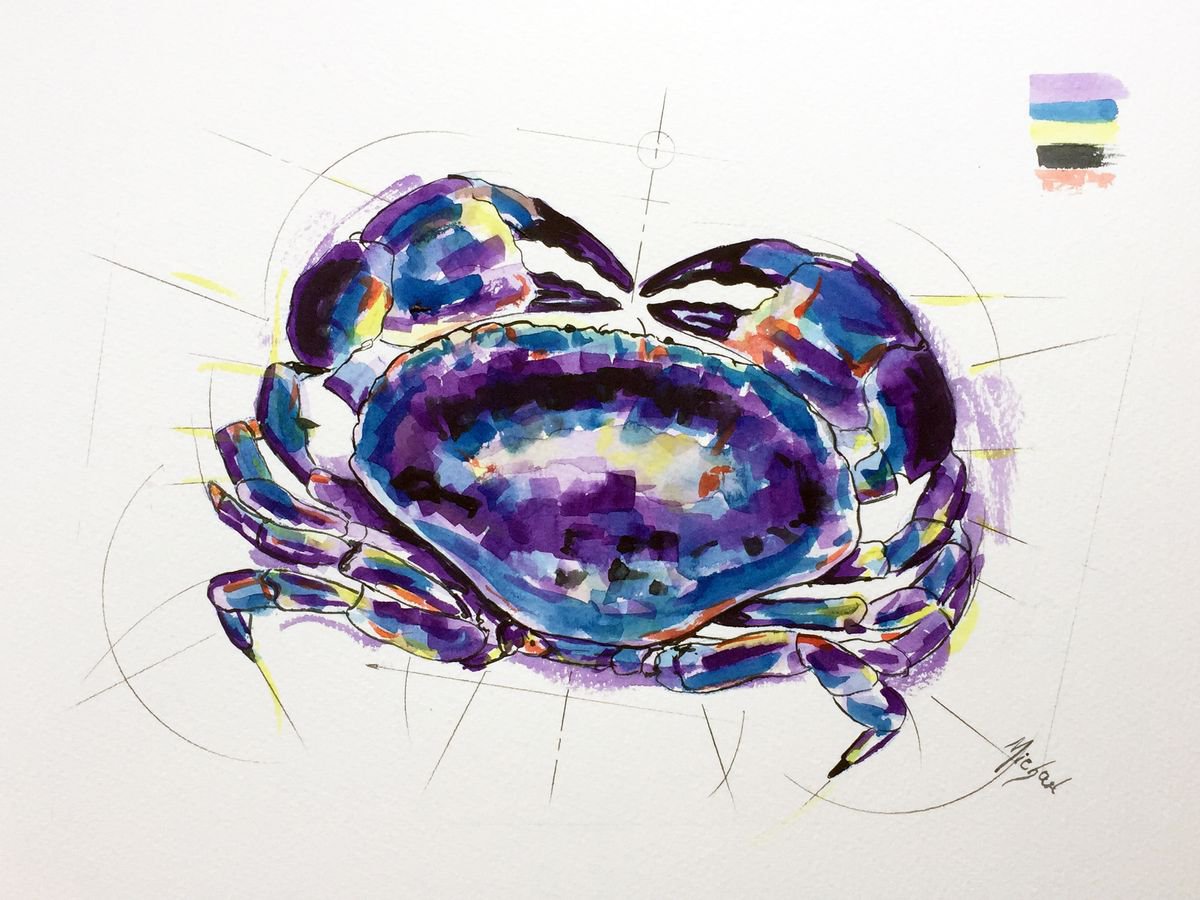 Edible Crab by Michael Ahearne