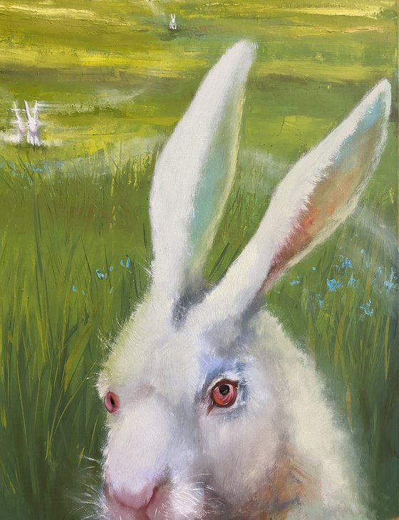 The White Rabbit follows you