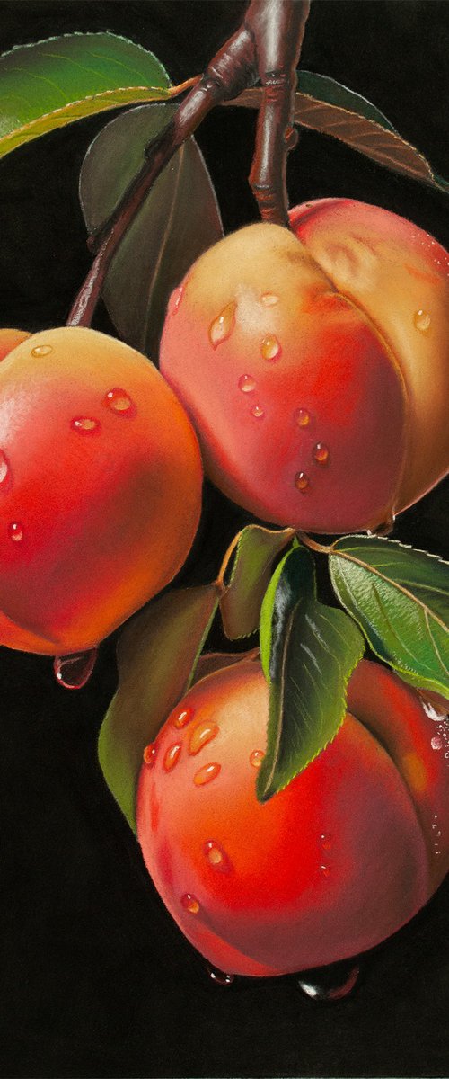 Orchard Jewels by Dietrich Moravec