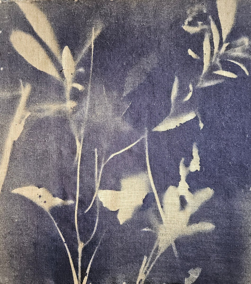 Surrealistic Botanical Acrylic Painting By Stefano Mazzolini, 35 X 39", Rf39, Original Artwork