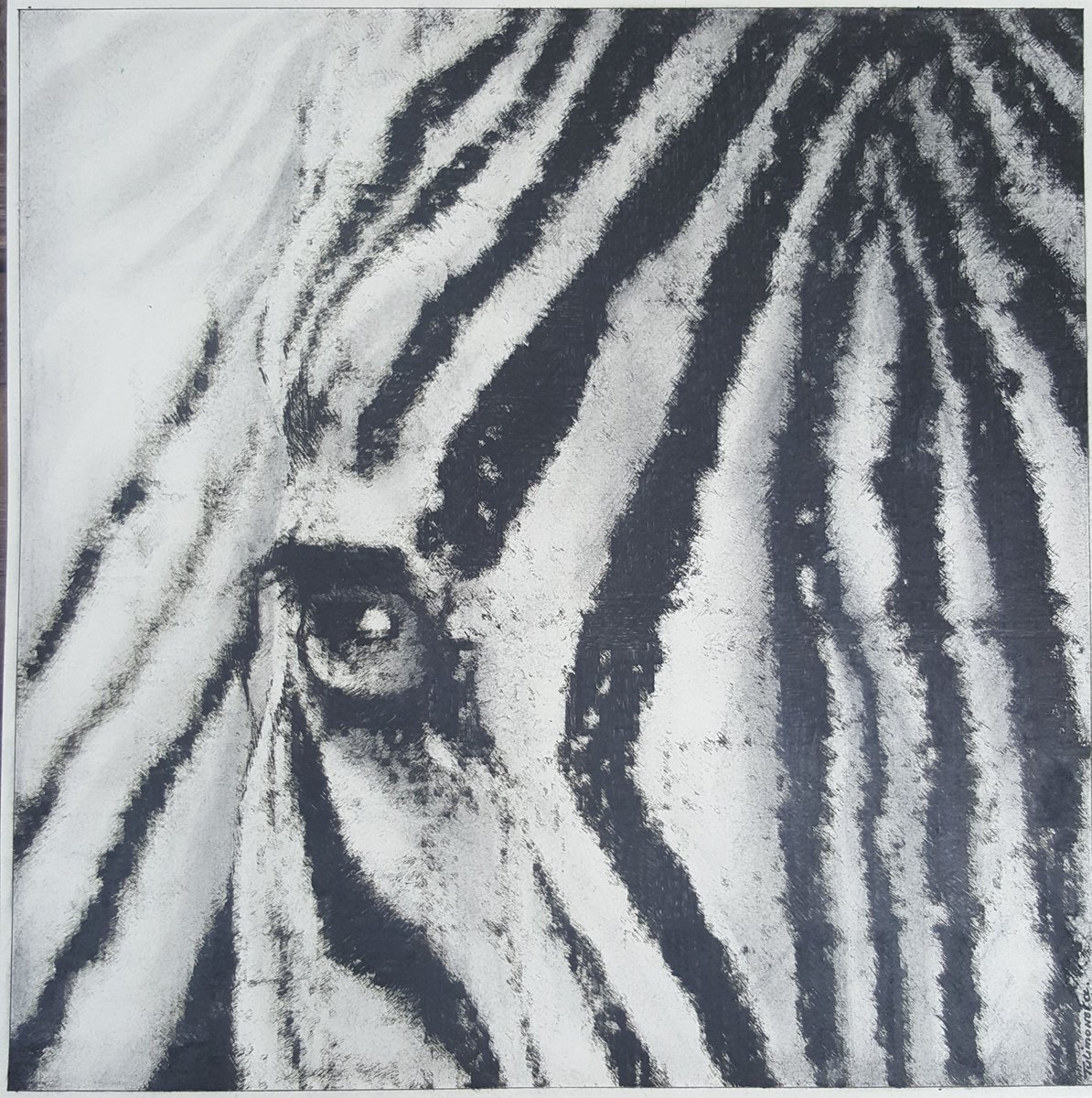 Zebra by Maja Tulimowska - Chmielewska