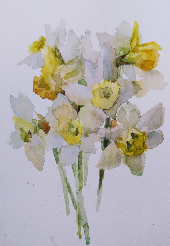 Yellow daffodil
