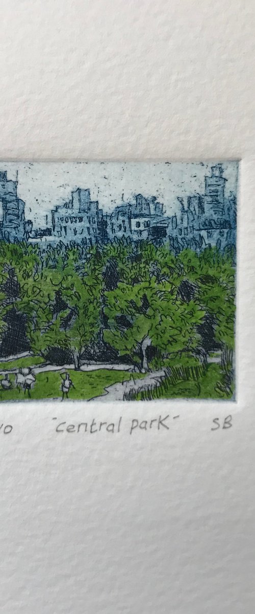 Central Park. by Stephen Brook