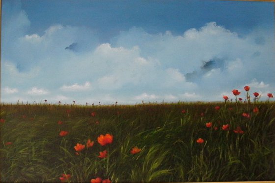 Poppies In The Field