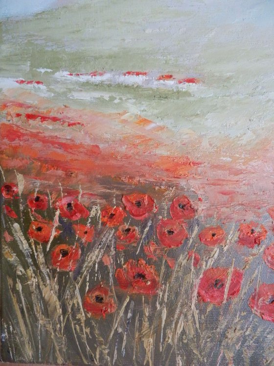 It was poppies time