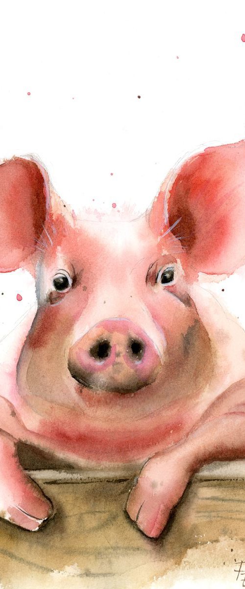 Pig portrait by Olga Tchefranov (Shefranov)