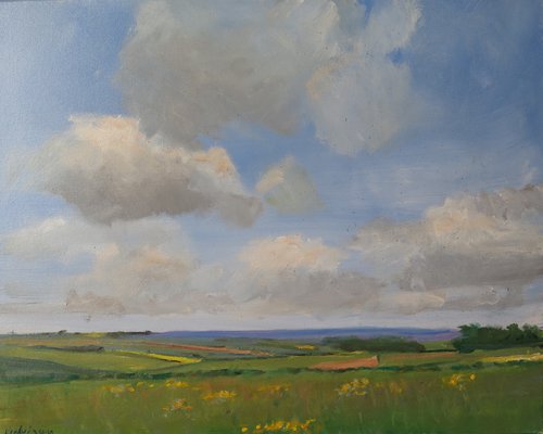 Yorkshire Wolds, May 26 by Malcolm Ludvigsen