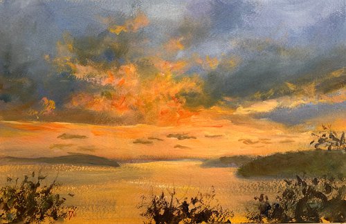 Waverton sunset by Shelly Du