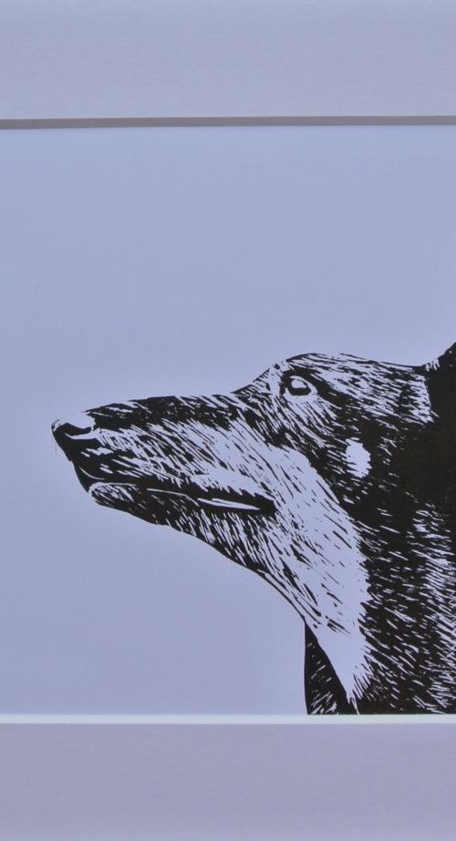 Dog Linocut, Print on Paper, Mounted by Alex Jabore