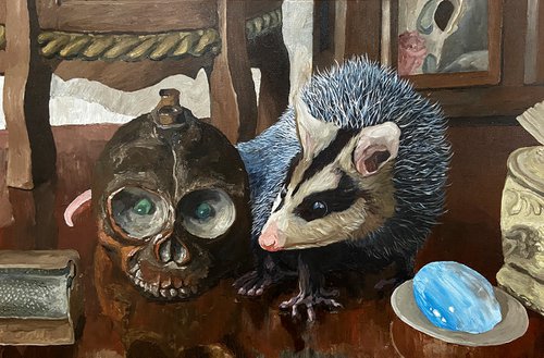 Possum and fake death by Artur Rios