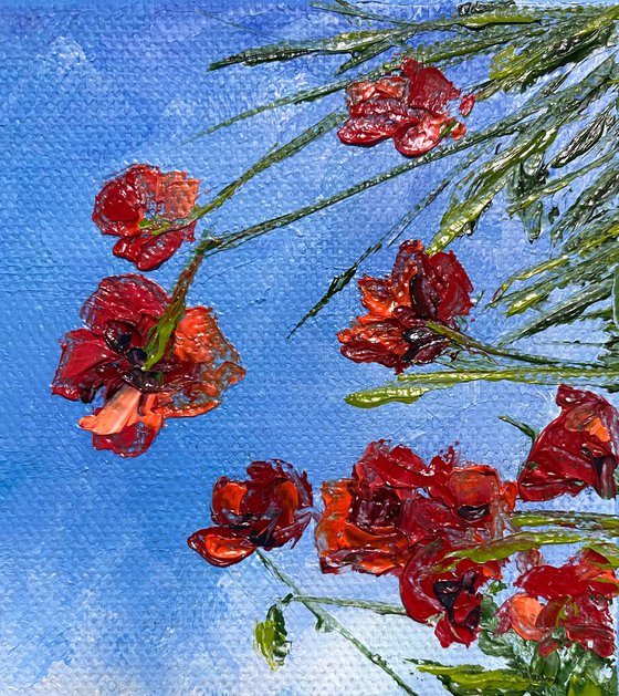 Poppies in the sky