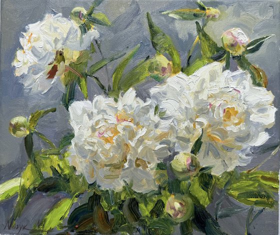 Lush White Peonies in Bloom