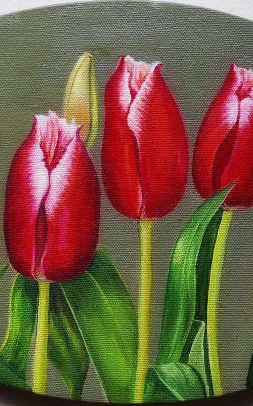 Tulip Garden by Priyanka Singh