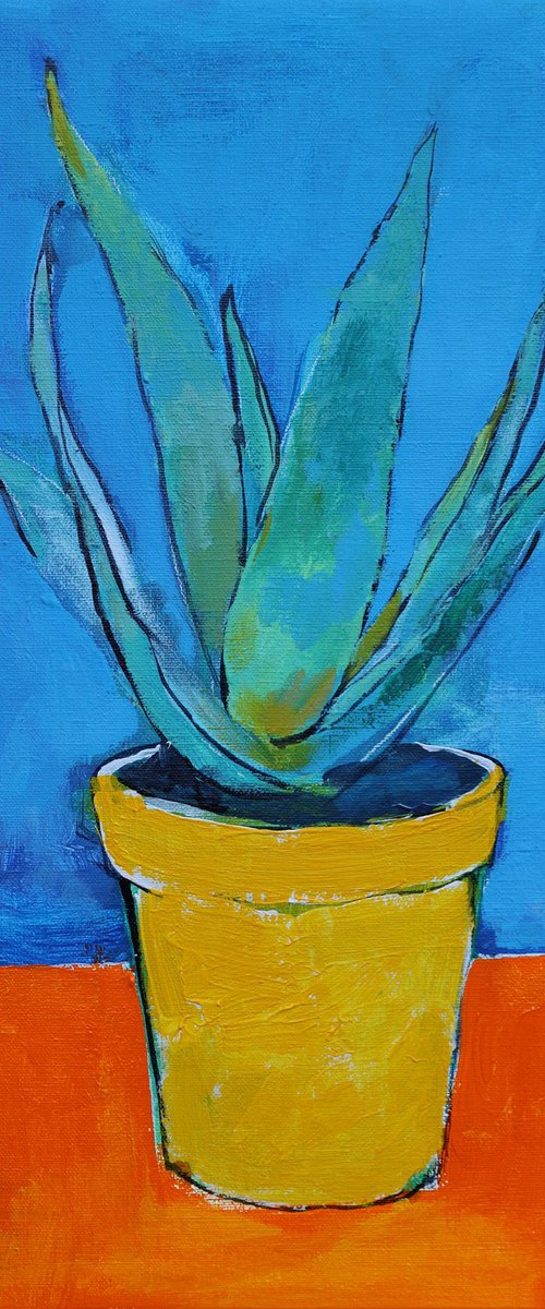 Aloe in Yellow Pot by Artem Andreichuk
