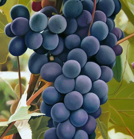 Grapes