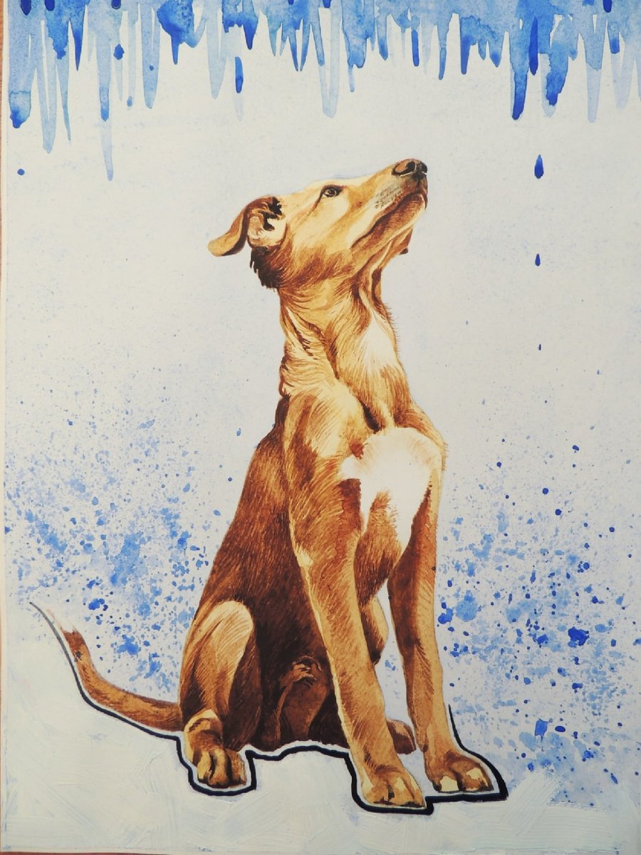 Dog by Kakajan Charyyev