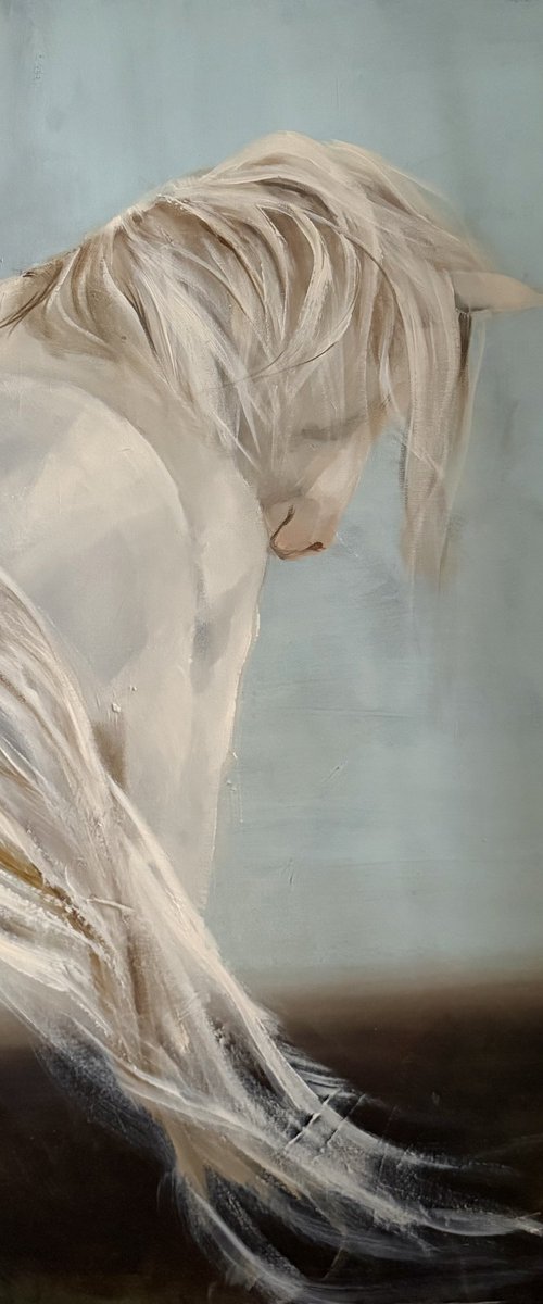 Edgar II by Tamara Andjus